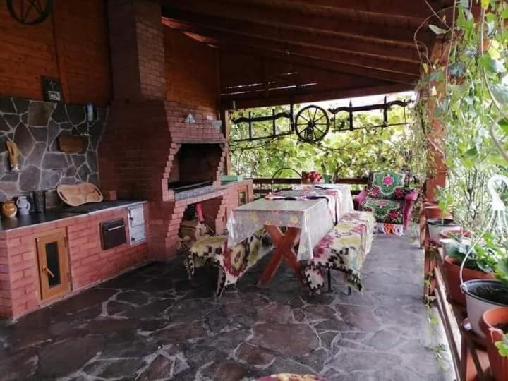Pensiunea Brezu Sighetu Marmaţiei Екстериор снимка