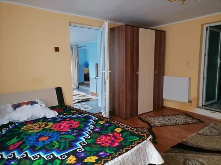 Pensiunea Brezu Sighetu Marmaţiei Екстериор снимка