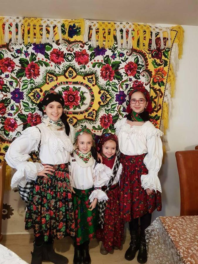 Pensiunea Brezu Sighetu Marmaţiei Екстериор снимка